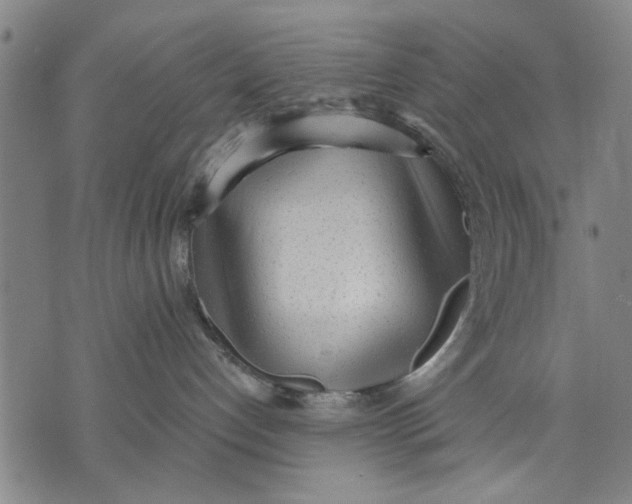 X0000071770192200607211541