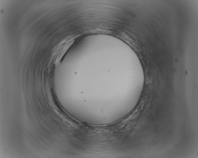 X0000071770193200607211540