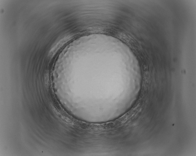 X0000071770194200607211540