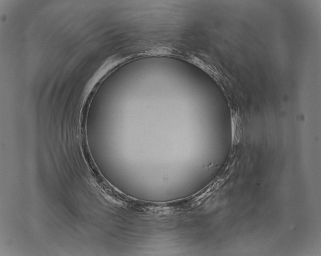 X0000071770195200607211540