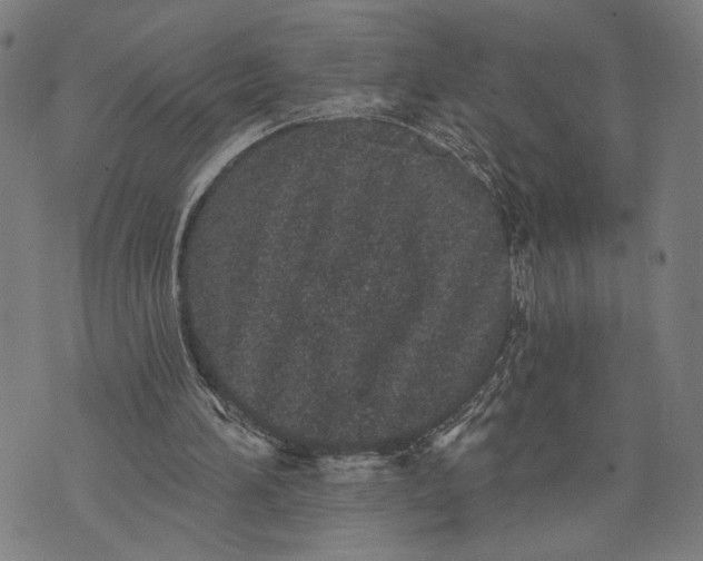 X0000071770196200607211540