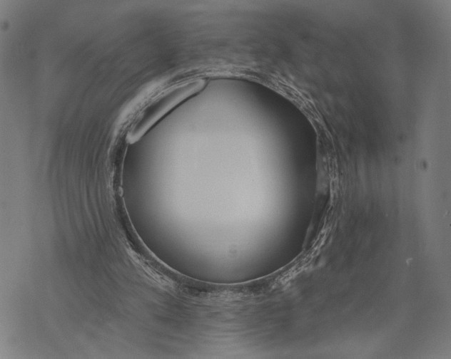 X0000071770197200607211540