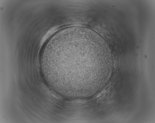 X0000071770198200607211540