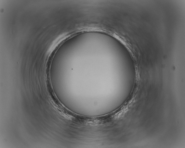 X0000071770199200607211540