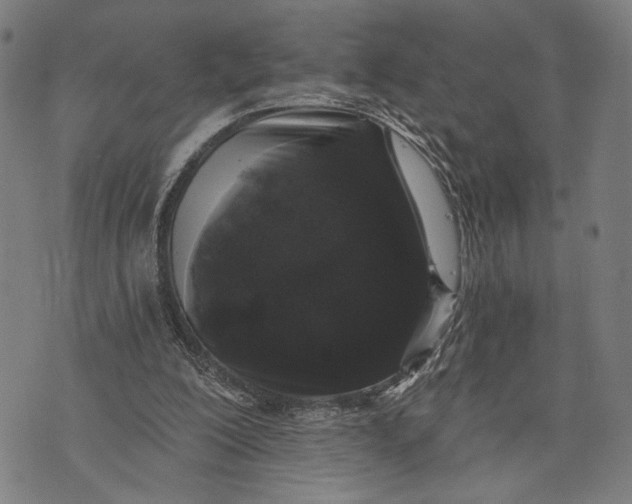 X0000071770200200607211540