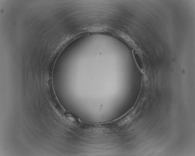 X0000071770201200607211540