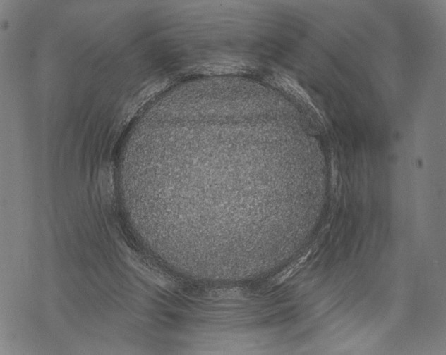 X0000071770202200607211540