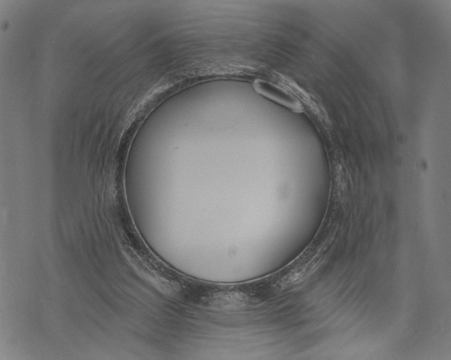 X0000071770203200607211540