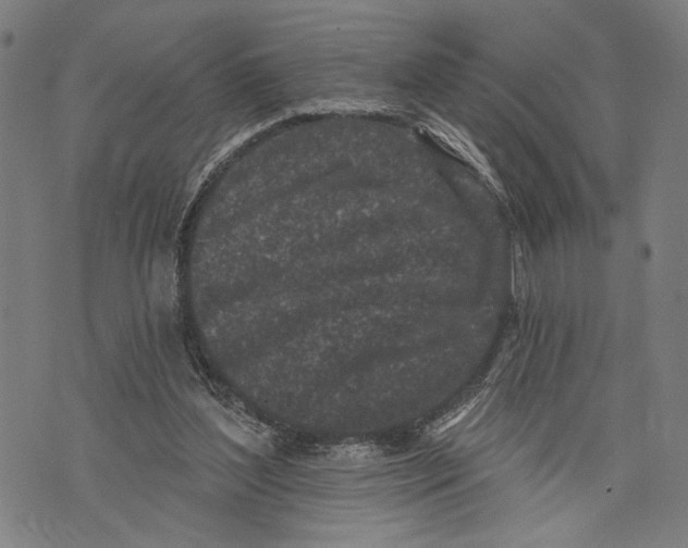 X0000071770204200607211540