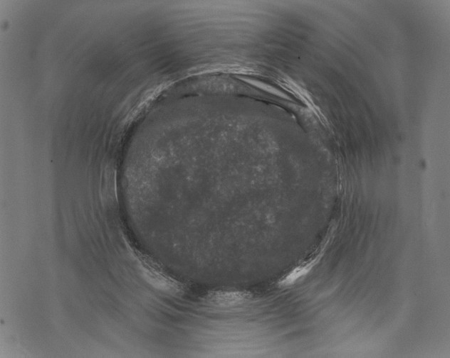 X0000071770205200607211540