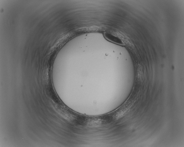 X0000071770206200607211540