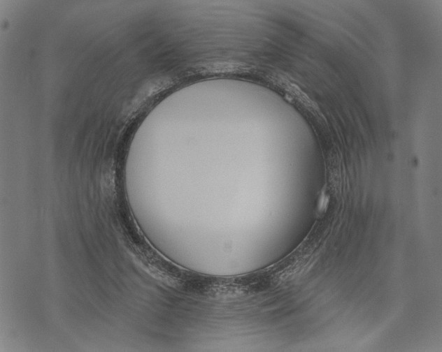 X0000071770207200607211540