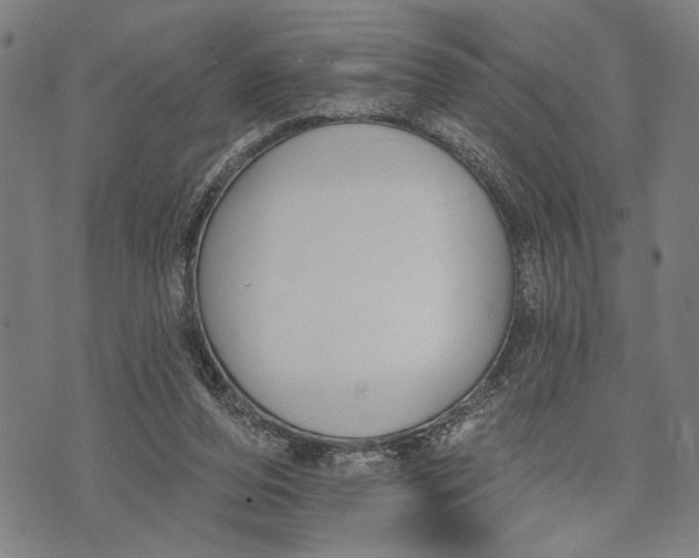 X0000071770208200607211540