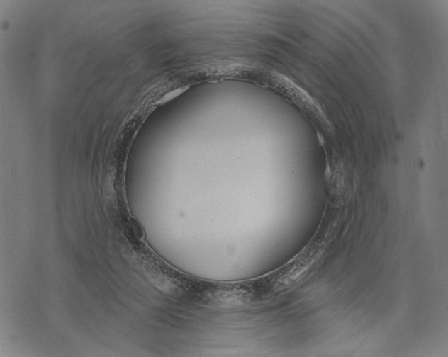 X0000071770209200607211540