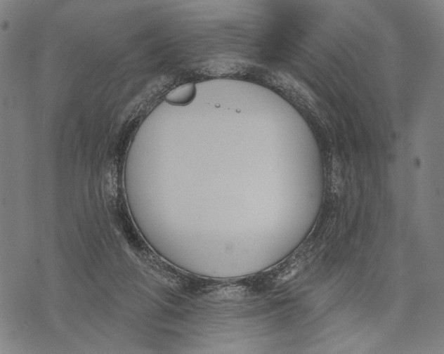 X0000071770210200607211540