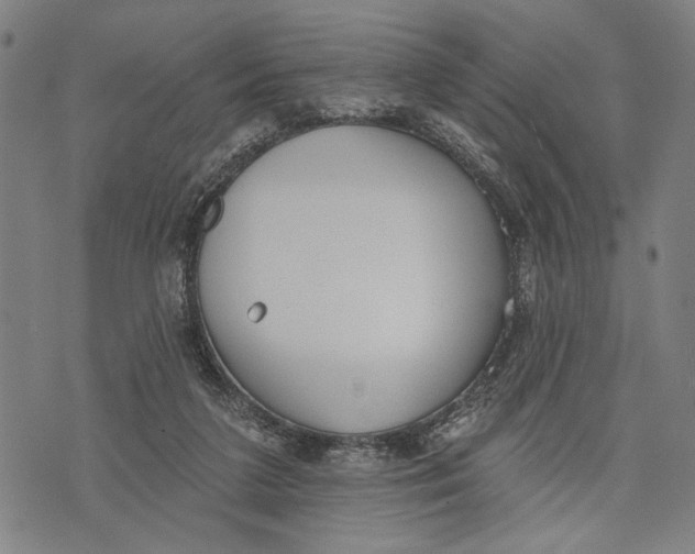 X0000071770211200607211540