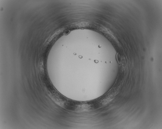 X0000071770212200607211540