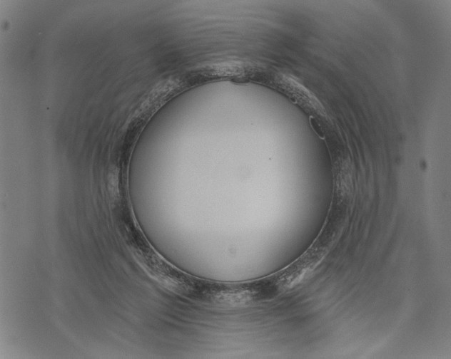 X0000071770213200607211540