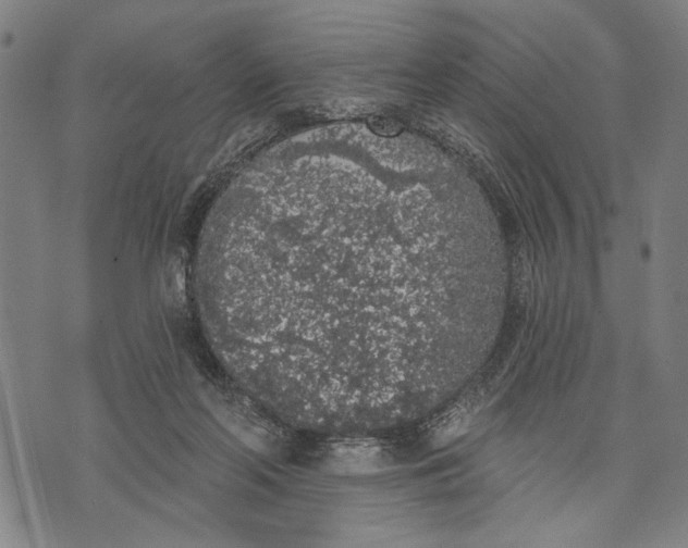 X0000071770214200607211540