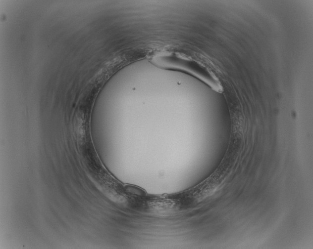 X0000071770215200607211540