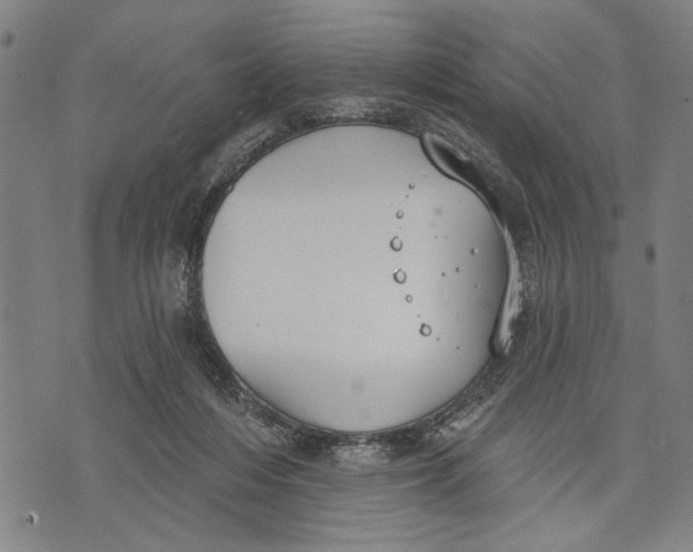 X0000071770216200607211540