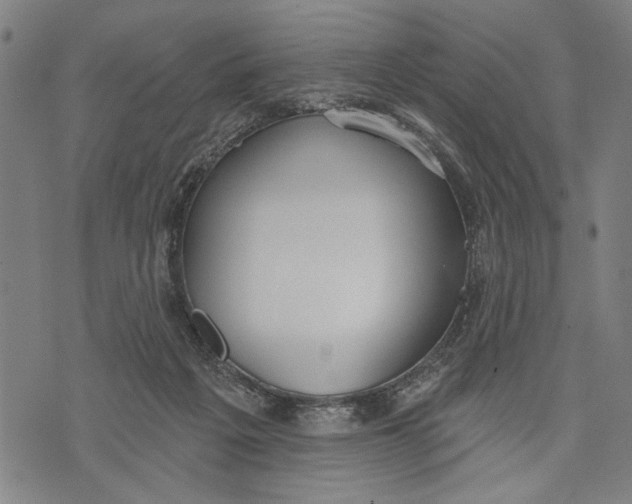 X0000071770217200607211540