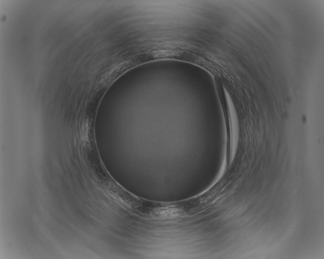 X0000071770219200607211540