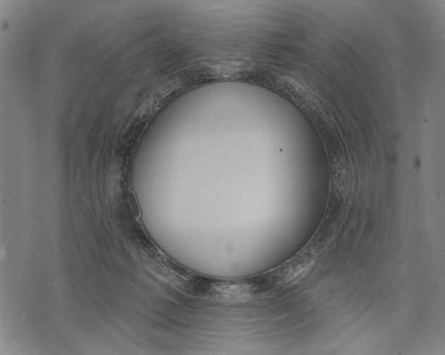 X0000071770221200607211540