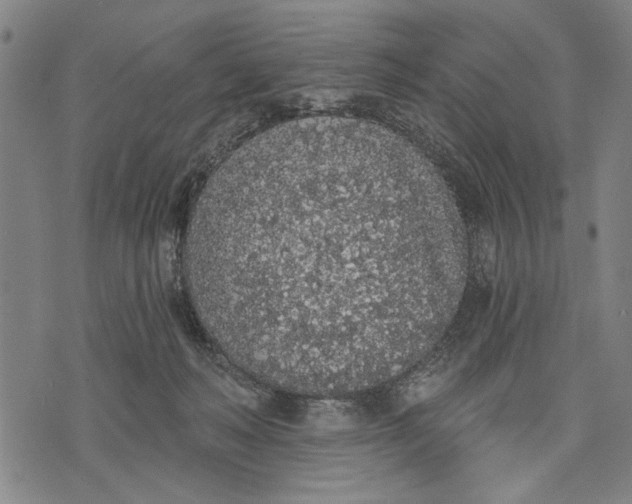 X0000071770222200607211540