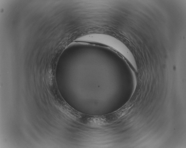 X0000071770223200607211540