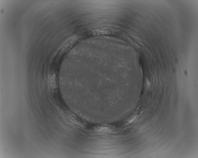 X0000071770224200607211540