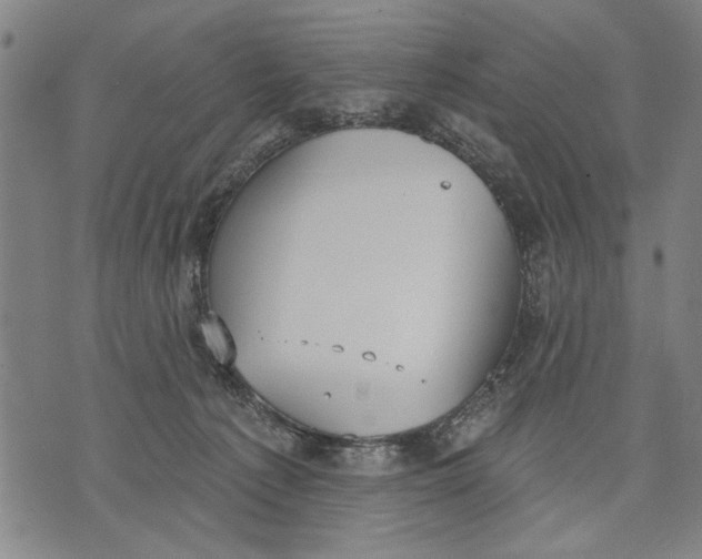 X0000071770225200607211540