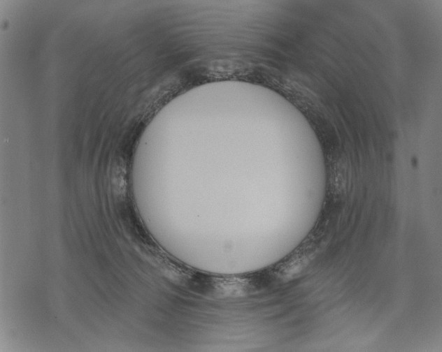 X0000071770226200607211540