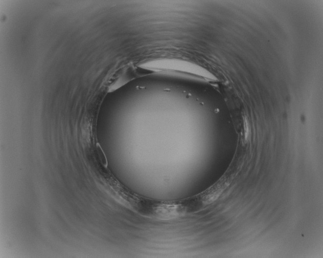 X0000071770227200607211540