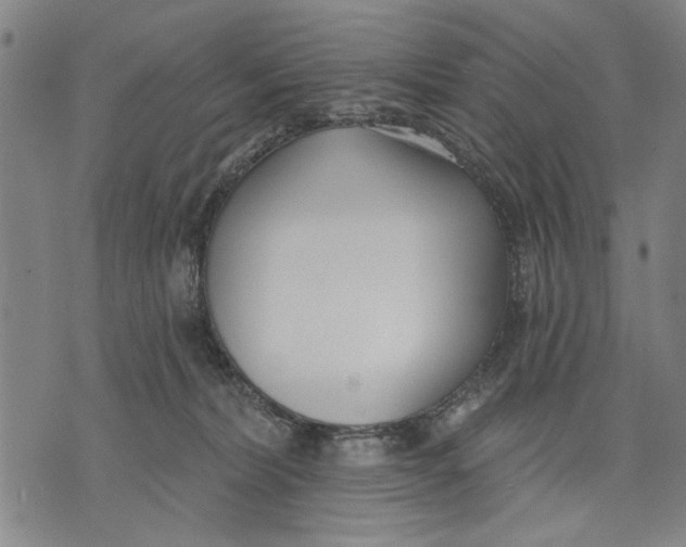 X0000071770228200607211540