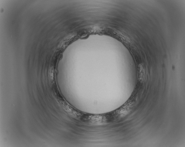 X0000071770230200607211540