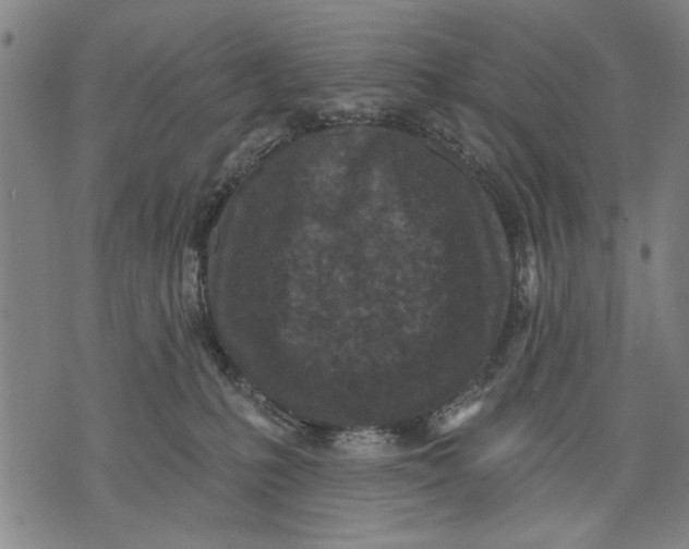 X0000071770231200607211540