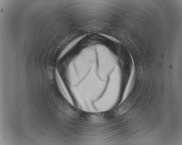 X0000071770232200607211540