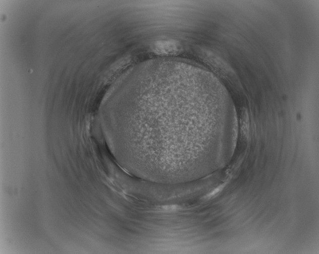 X0000071770233200607211540