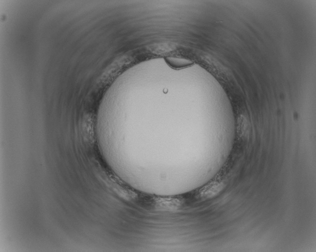 X0000071770234200607211540