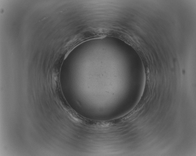 X0000071770235200607211540