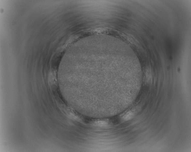 X0000071770236200607211540