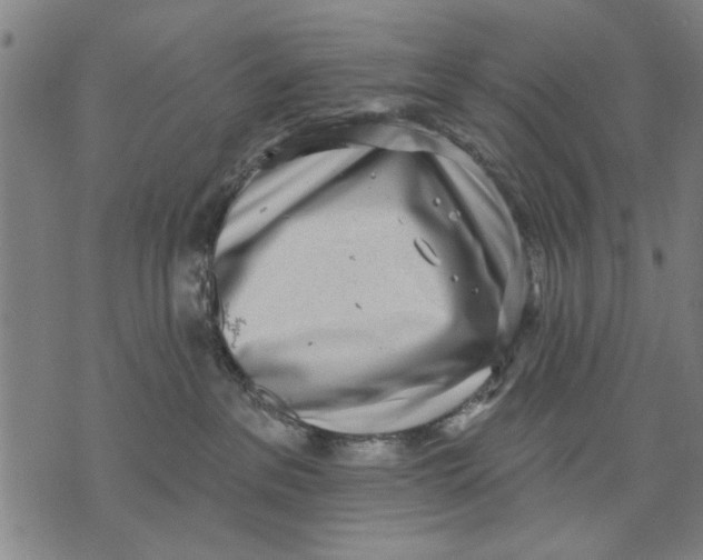 X0000071770237200607211539