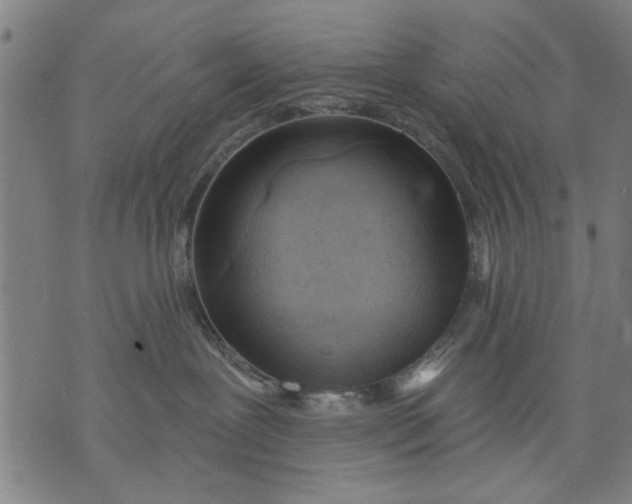 X0000071770239200607211539