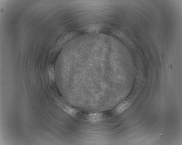 X0000071770240200607211539