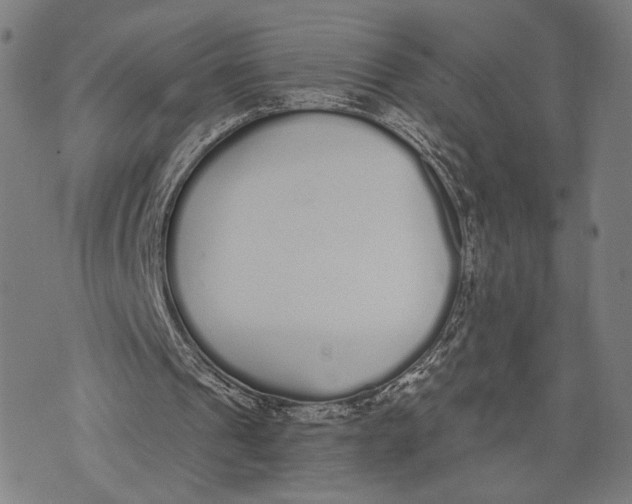 X0000071770241200607211539