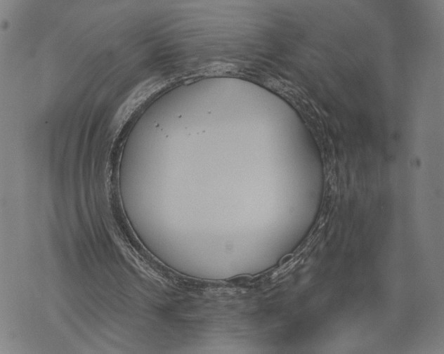 X0000071770242200607211539