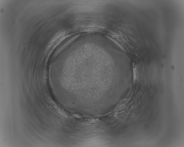 X0000071770243200607211539