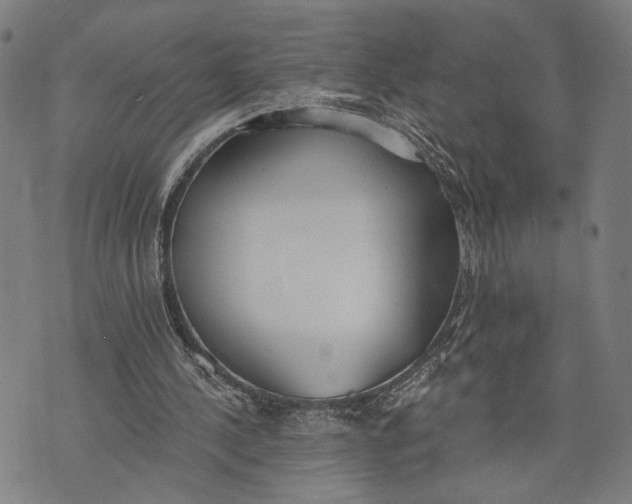 X0000071770244200607211539