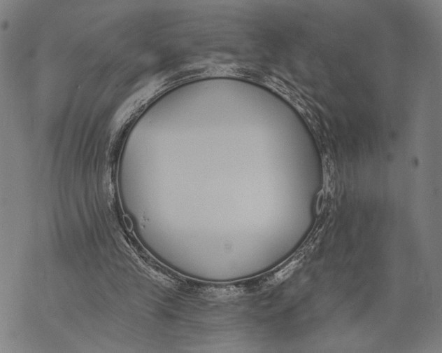 X0000071770245200607211539